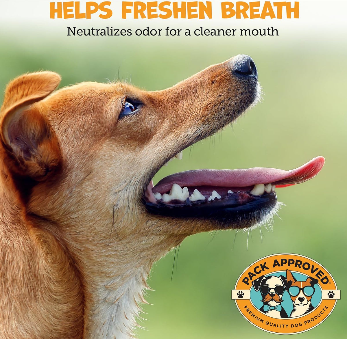 Dental Wipes for Dogs - Dog Teeth Wipes for Oral Care, Tartar and Plaque Remover - Cleans and