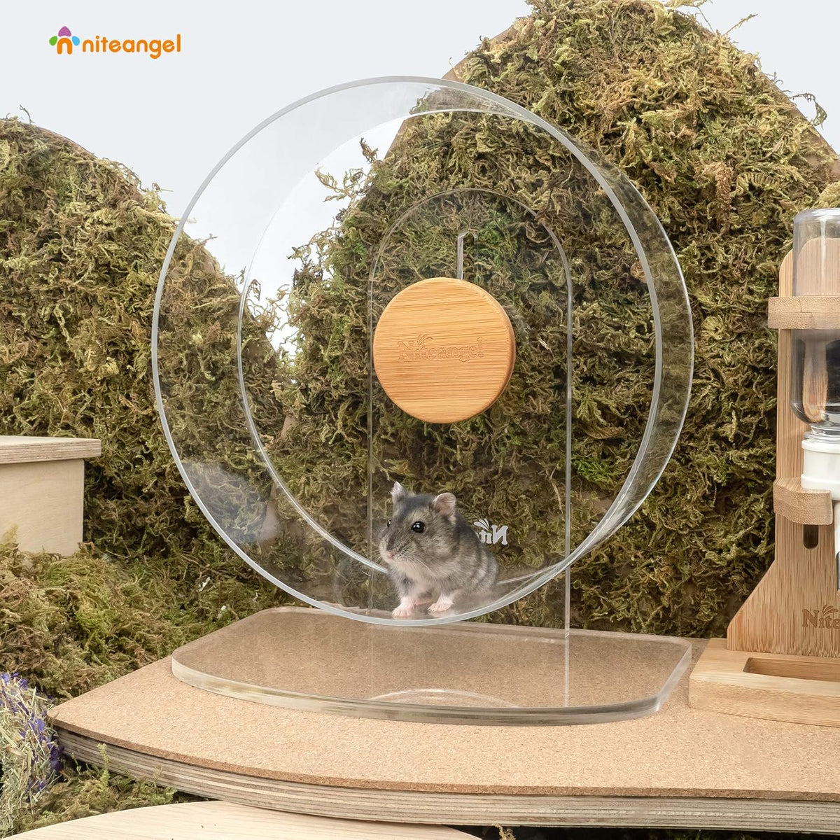 Niteangel Silent Hamster Exercise Wheel: - Dual-Bearing Quiet Spinning Acrylic Hamster Running