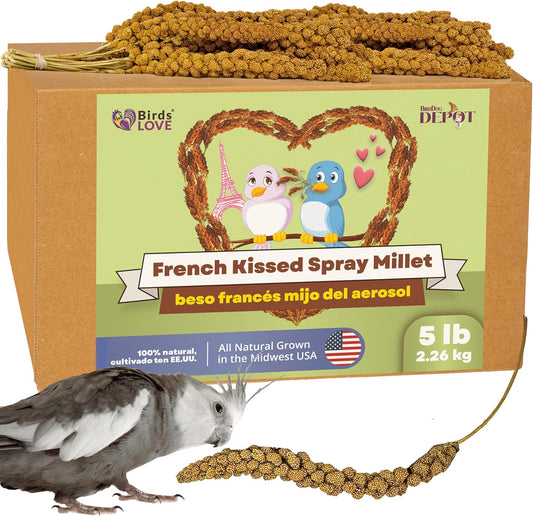 Birds LOVE French Kissed Spray Millet for Birds - Parakeets, Cockatiels, Lovebirds, Finches