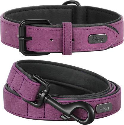 Didog Soft Padded Leather Dog Collar and Leash Set, Heavy Duty Dog Leash and Collar Set with Metal