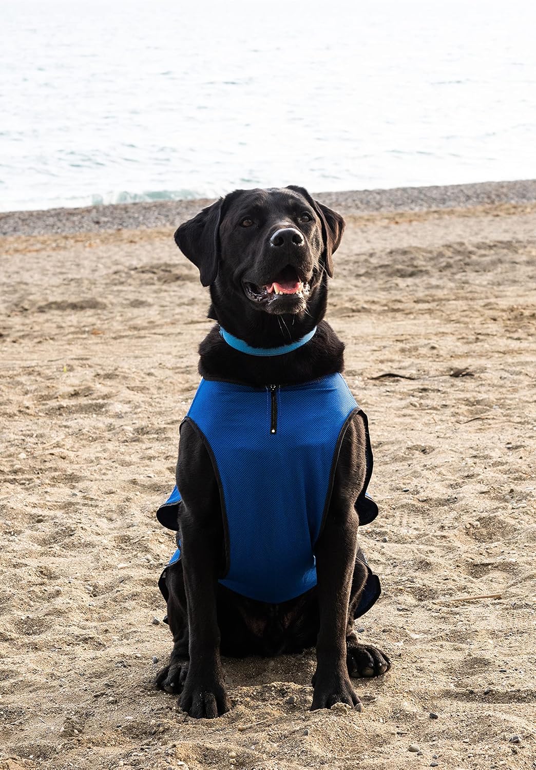 Dog Cooling Vest – Lightweight Summer Jacket for Dogs with Zip Neck & Velcro – Easy On/Off Cooling