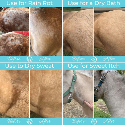 Coat Defense Daily Preventative Powder for Horses - Safe & Effective Equine Sweet Itch, Skin Funk