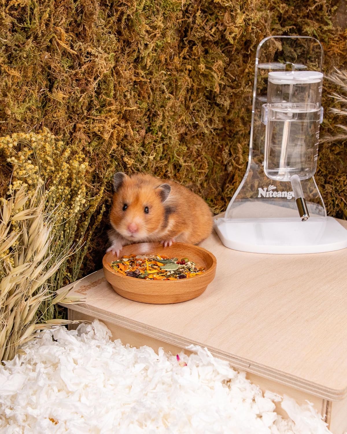 Niteangel Hamster Food & Treats Toy - Small Animal Natural Food for Syrian Golden Hamsters or Other