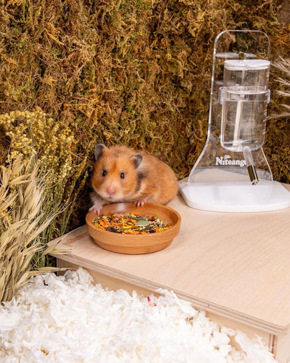 Niteangel Golden Hamster Food & Treats - Small Animal Natural Food for Syrian Golden Hamsters or