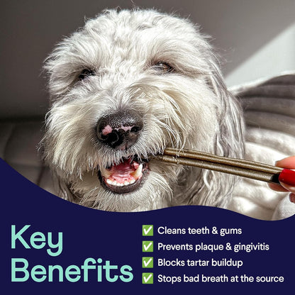 Finn Plaque Patrol Dental Chews | Triple-Action Defense Against Plaque, Tartar, and Bad Breath |