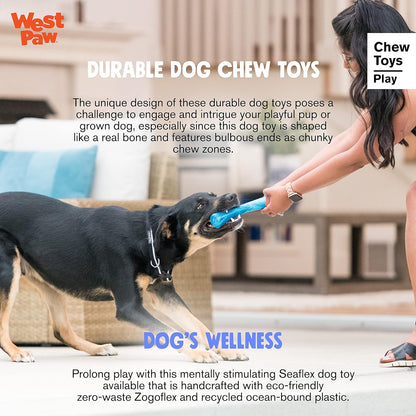 WEST PAW Seaflex Drifty Dog Toy – Machine Washable Dog Toys for Moderate Chewers – Eco-Friendly