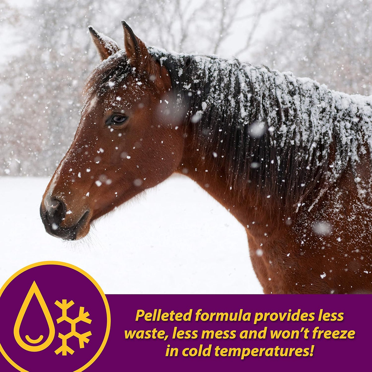 Farnam Horse Health Red Cell Pellets, Vitamin-Iron-Mineral Supplement for Horses, Helps Fill