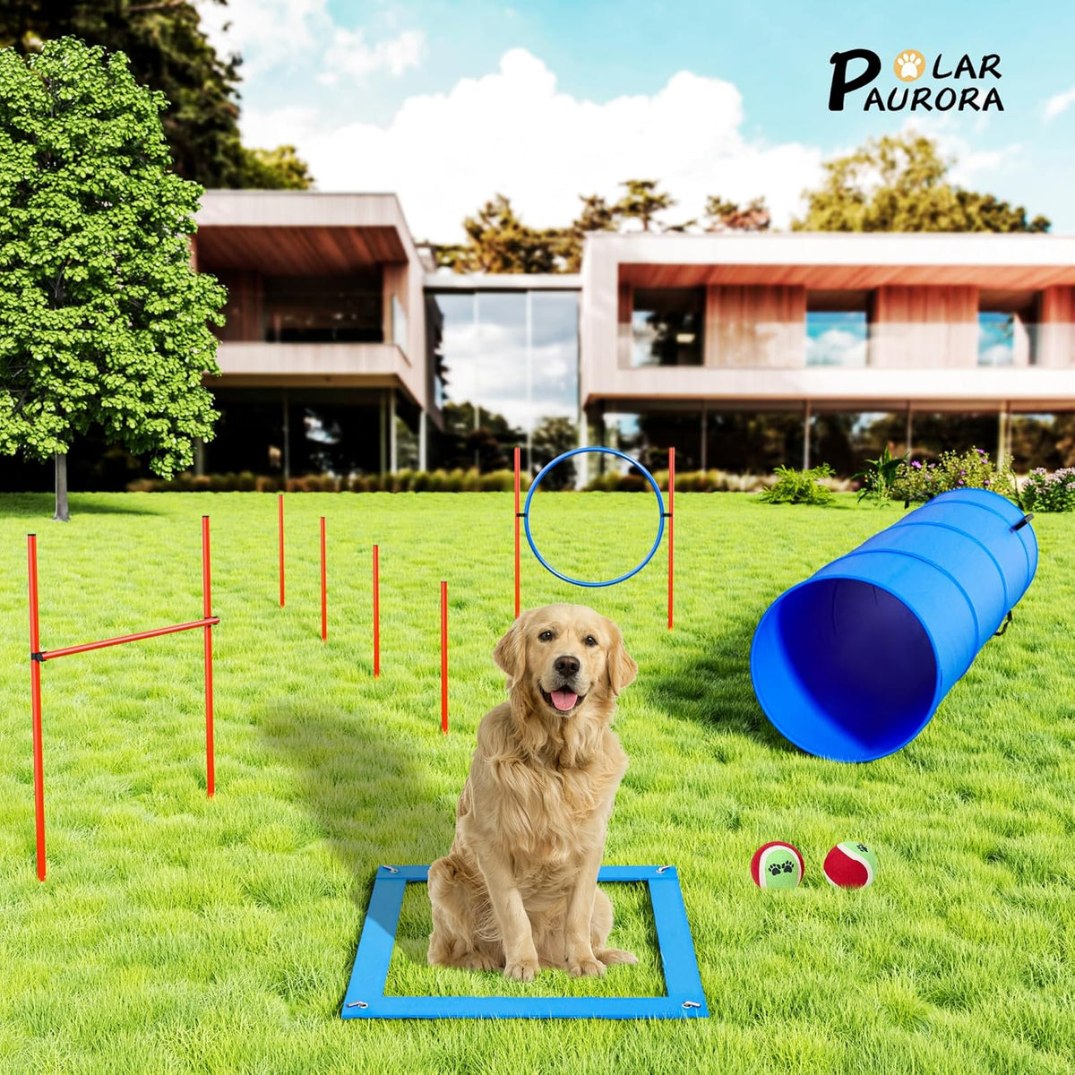 Polar Aurora Dog Agility Equipment, Dog Obstacle Courses Backyard - Pet Outdoor Games w/Adjustable