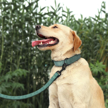 Didog Soft Padded Leather Dog Collar and Leash Set, Adjustable and Breathable Pet Collars with 4FT