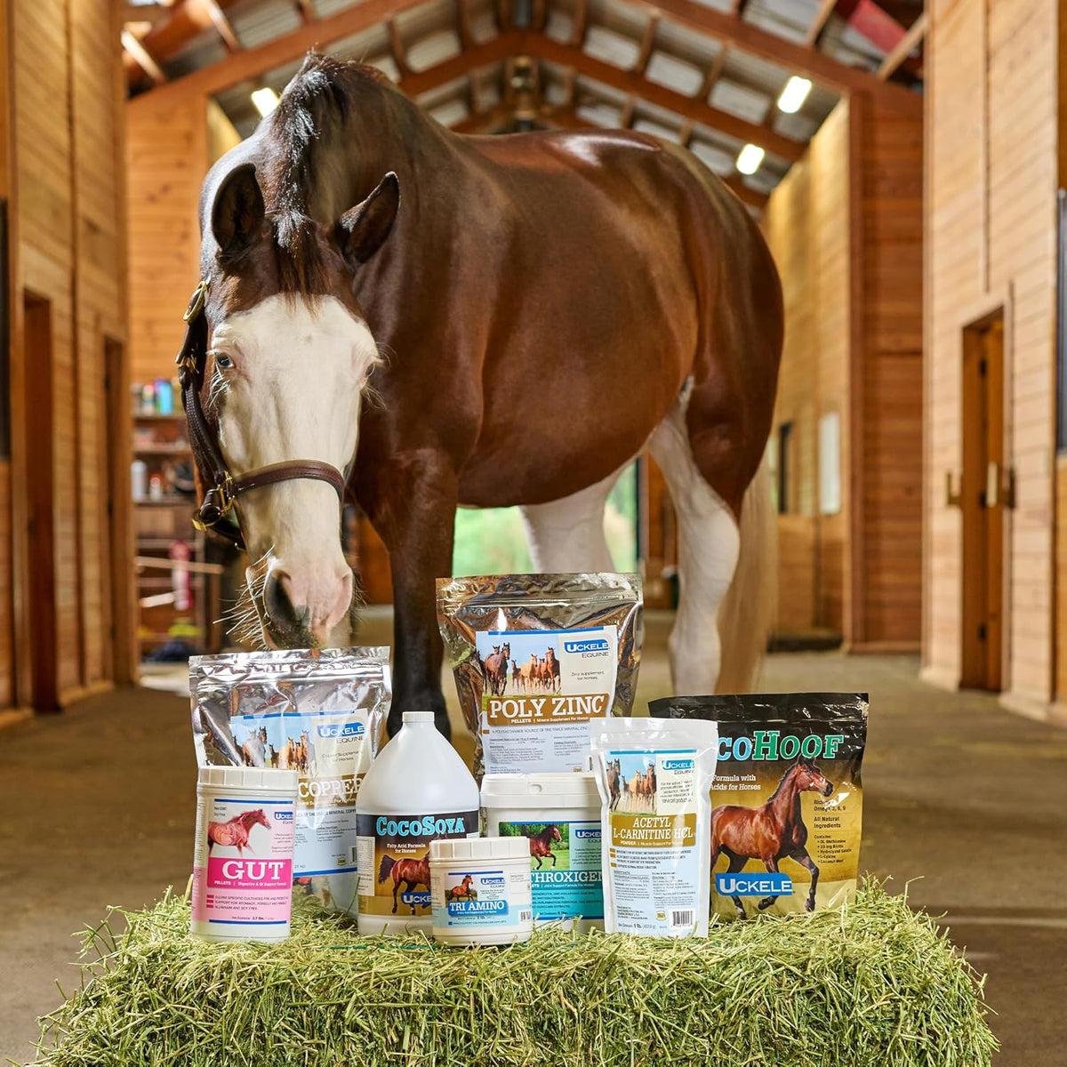 Uckele by SmartEquine Tendon EQ Pellets | Horse Muscle and Ligament Supplement for Horses |