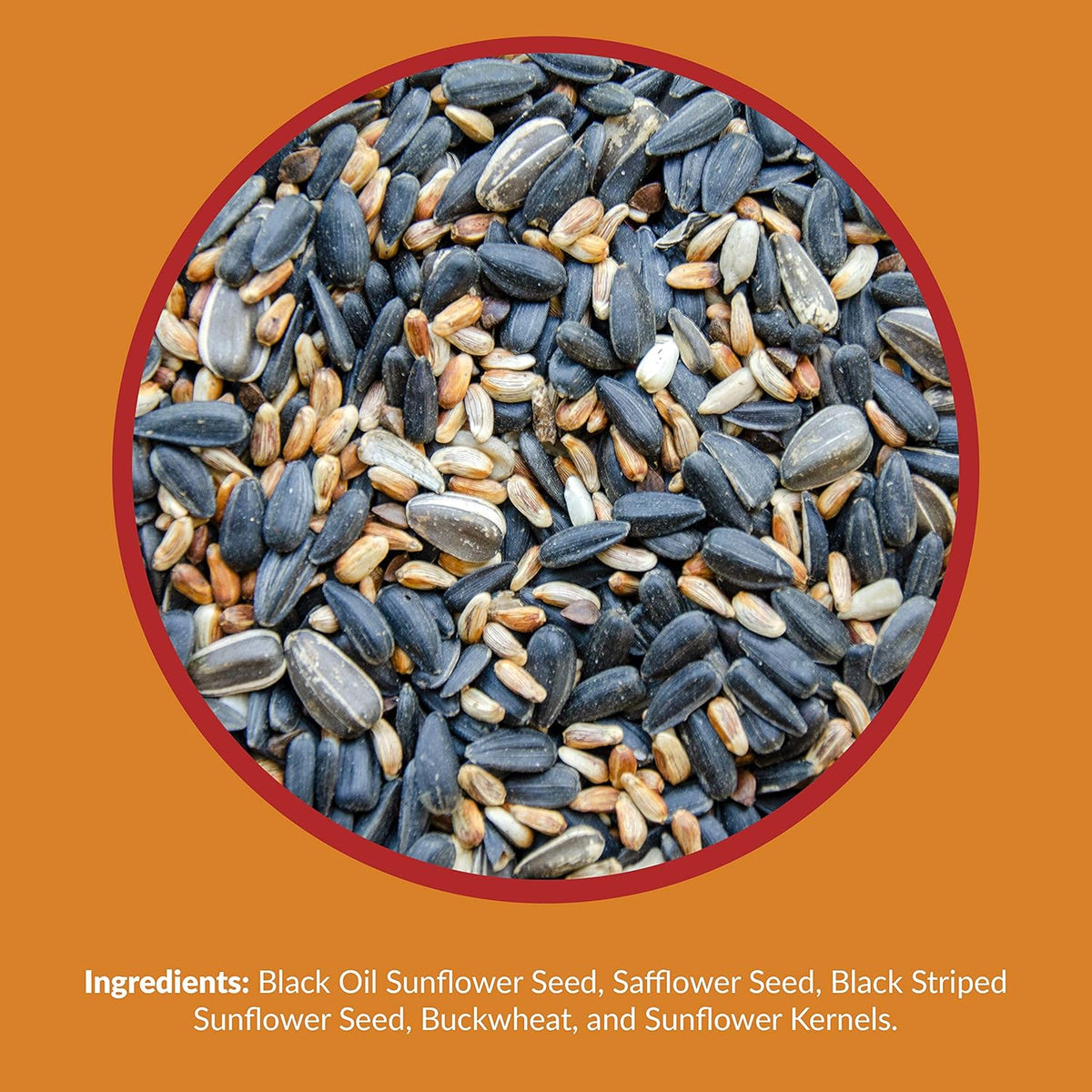Lyric Cardinal Wild Bird Seed - Sunflower & Safflower Premium Bird Food Mix for Cardinals