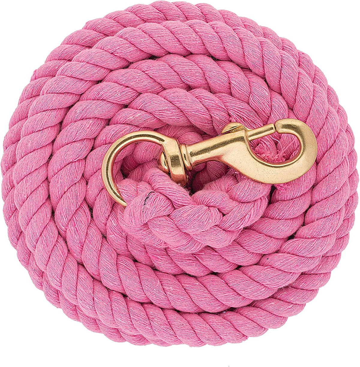 Weaver Equine Performance Lead Rope, Long Horse Lead Rope with Quick Halter Attachment, Soft
