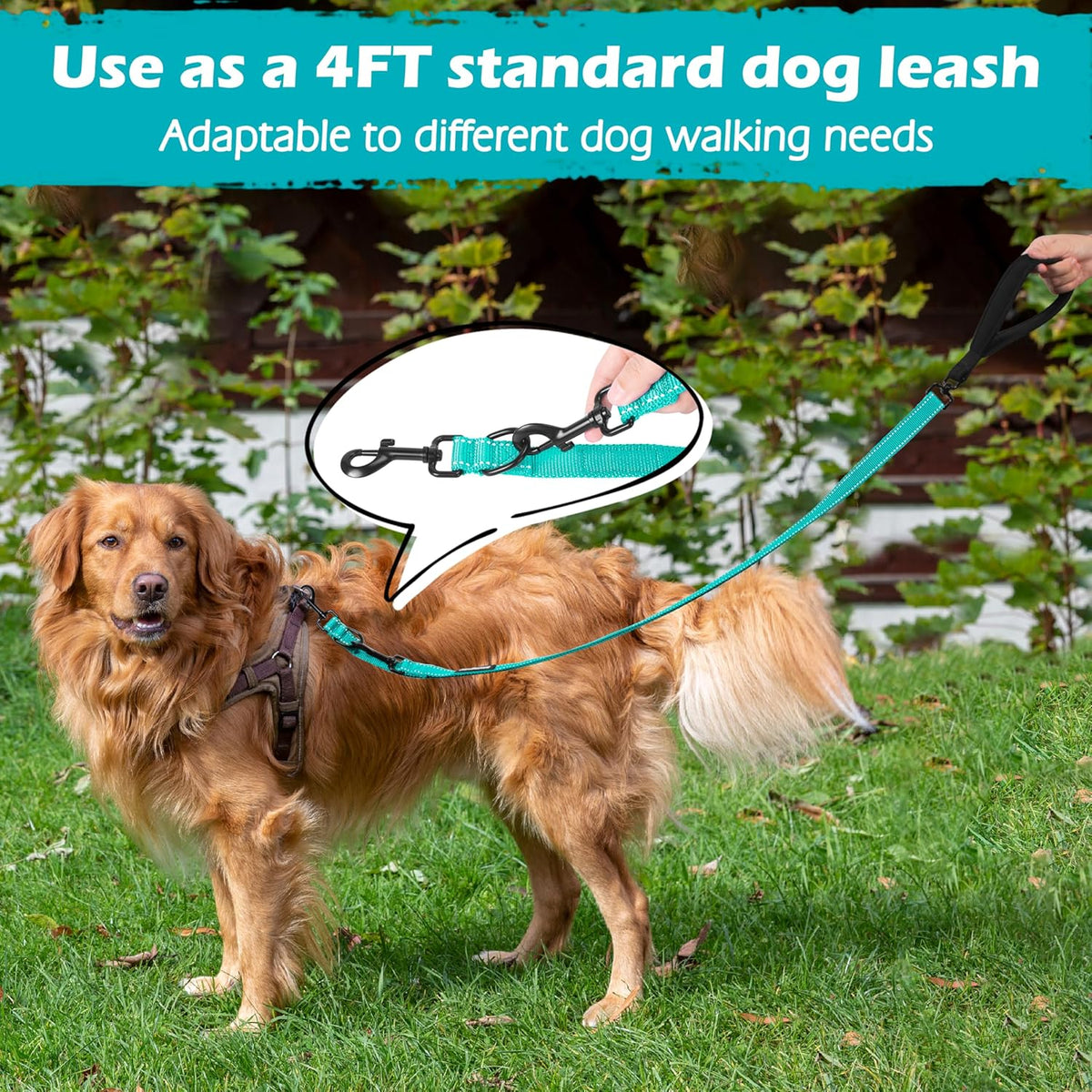 PetBonus Two Point Control Dog Leash, Works with No Pull Harnesses, No Tangle Dog Training Leashes