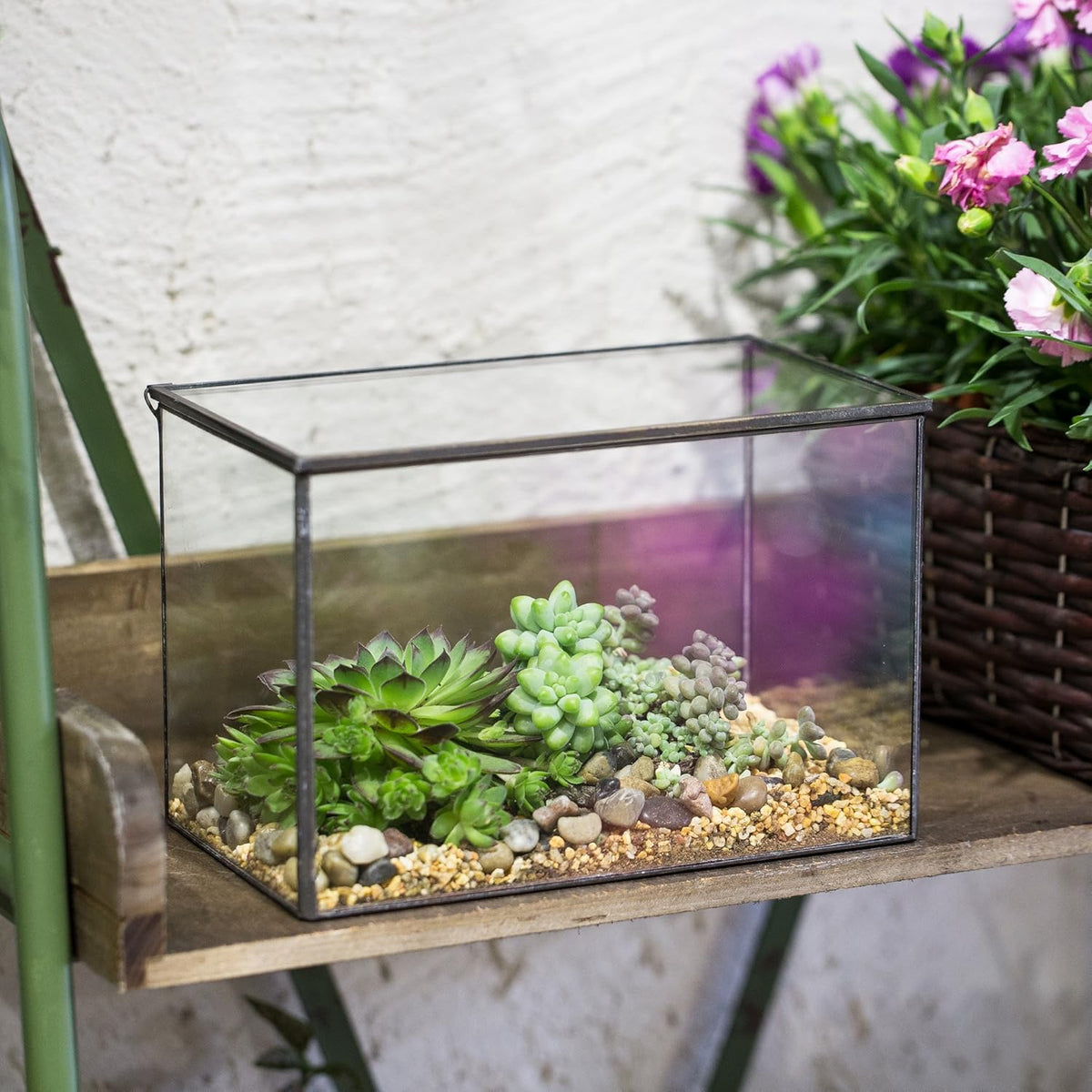 NCYP Small Rectangle Glass Terrarium Planter with Lid, 6.7 x 4 x 4.8 Inches Clear Black Geometric
