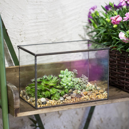 NCYP Small Rectangle Glass Terrarium Planter with Lid, 6.7 x 4 x 4.8 Inches Clear Black Geometric