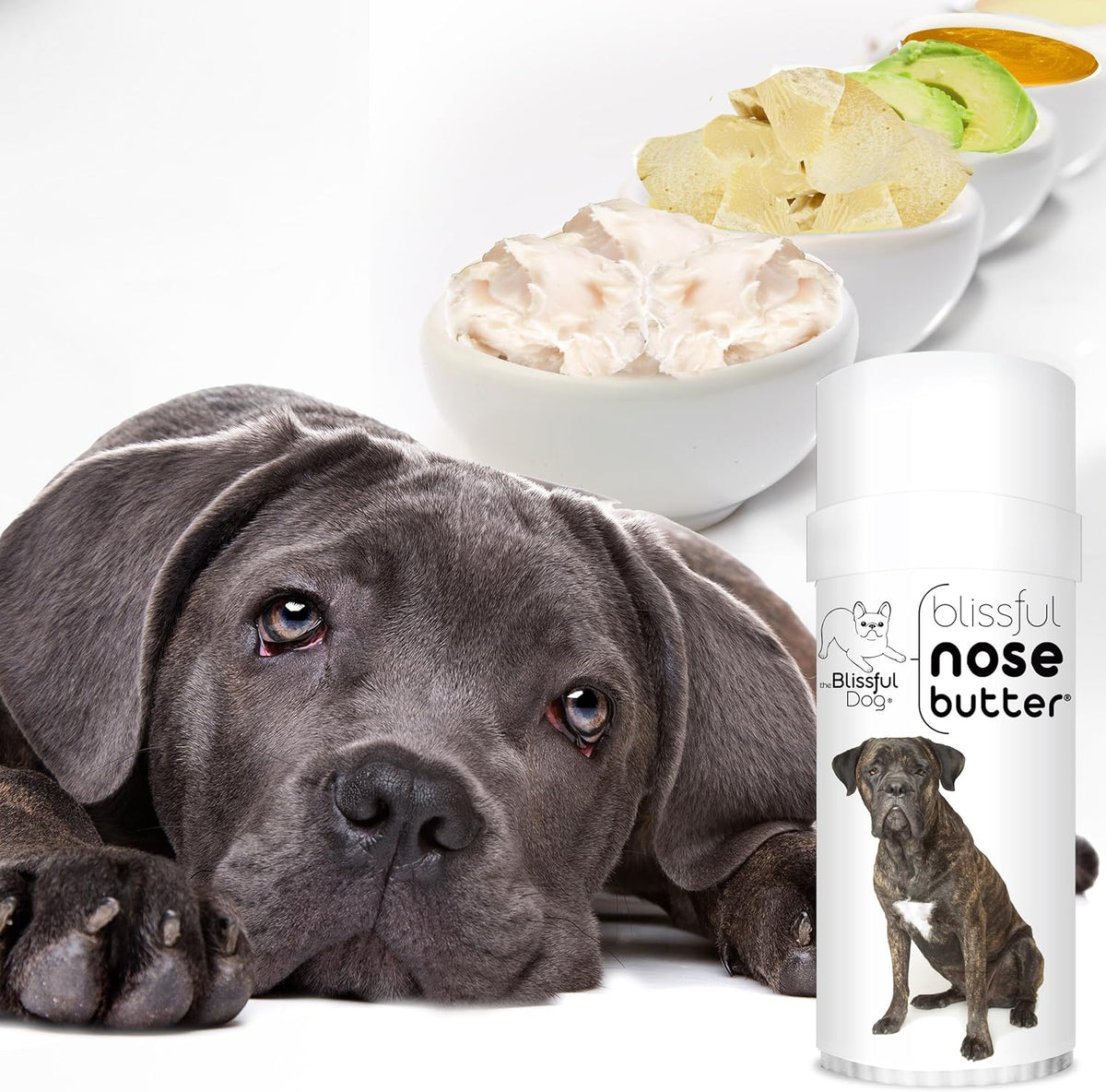 The Blissful Dog Cane Corso Nose Butter, Versatile Dog Nose Balm for Dry Nose, Handcrafted Nose