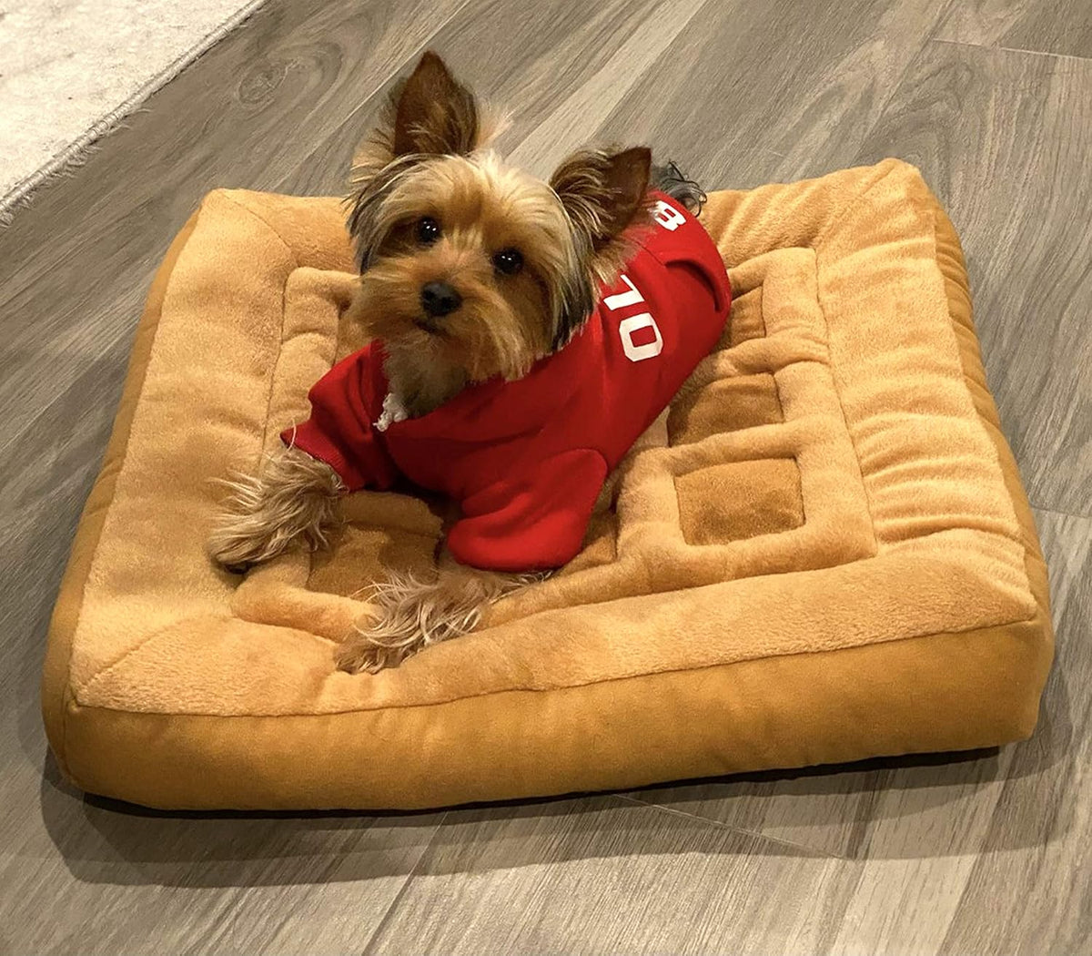 TONBO Soft Plush Small Cute and Cozy Chicken and Waffles Dog Cat Bed, Chicken Crinkle Toy Included