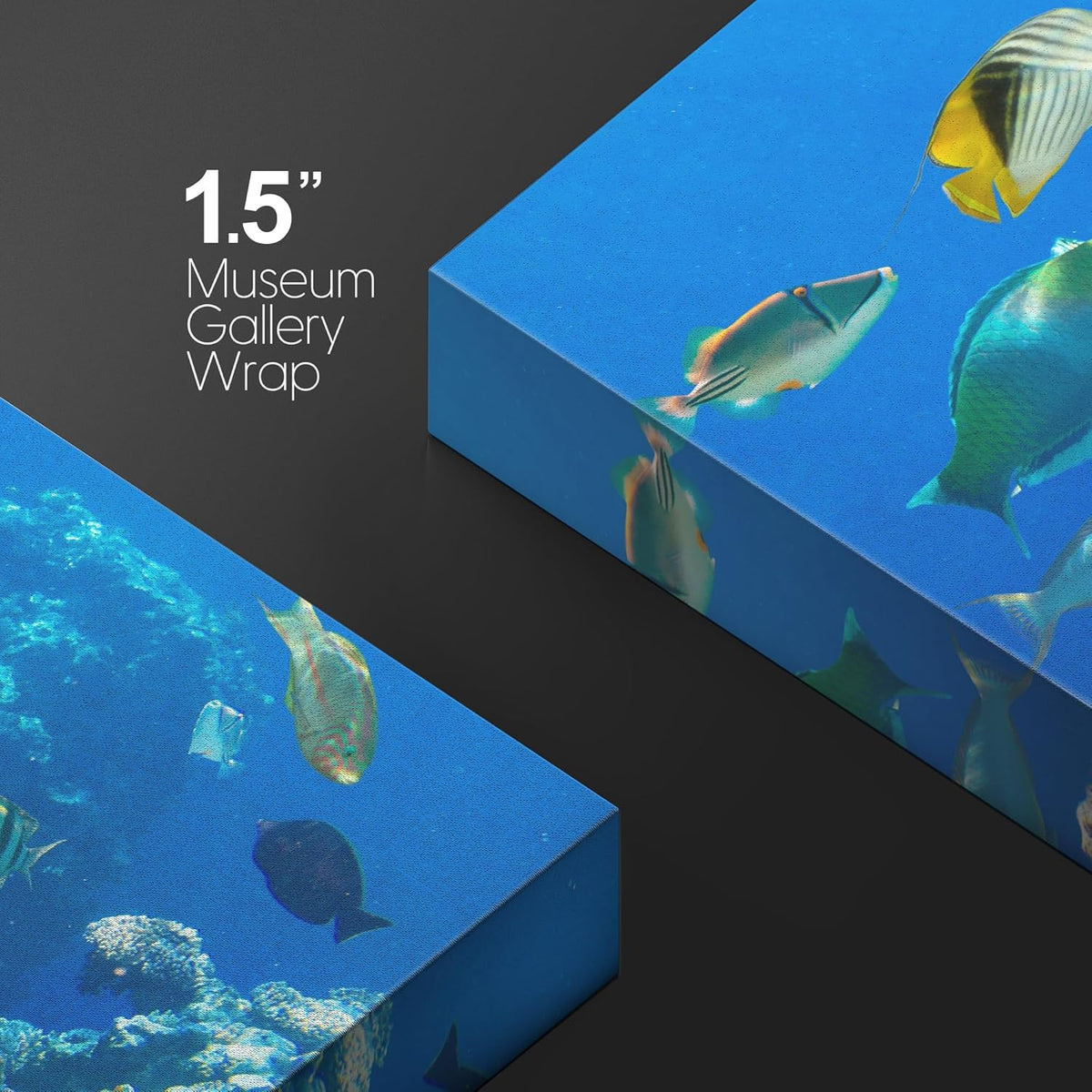 wall26 Canvas Print Wall Art Tropical Island Ocean Sea Fish Coral Reef Nature Animals Photography