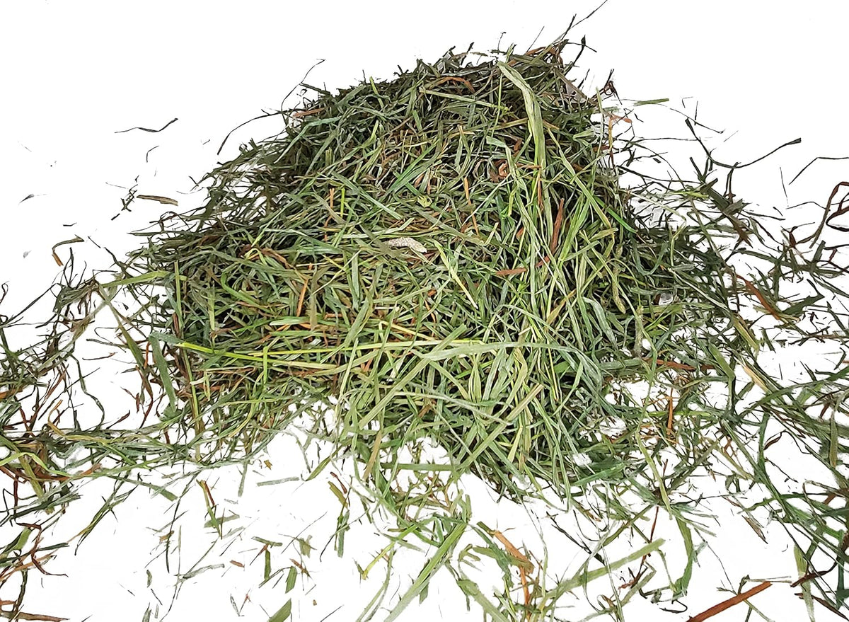 High Desert 2nd Cutting Timothy Grass Hay for Guinea Pigs, Rabbits, and More Small Animal Pets (16