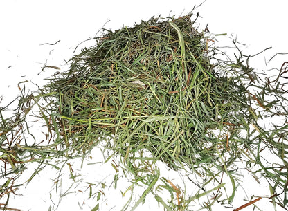 High Desert 2nd Cutting Timothy Grass Hay for Guinea Pigs, Rabbits, and More Small Animal Pets (16