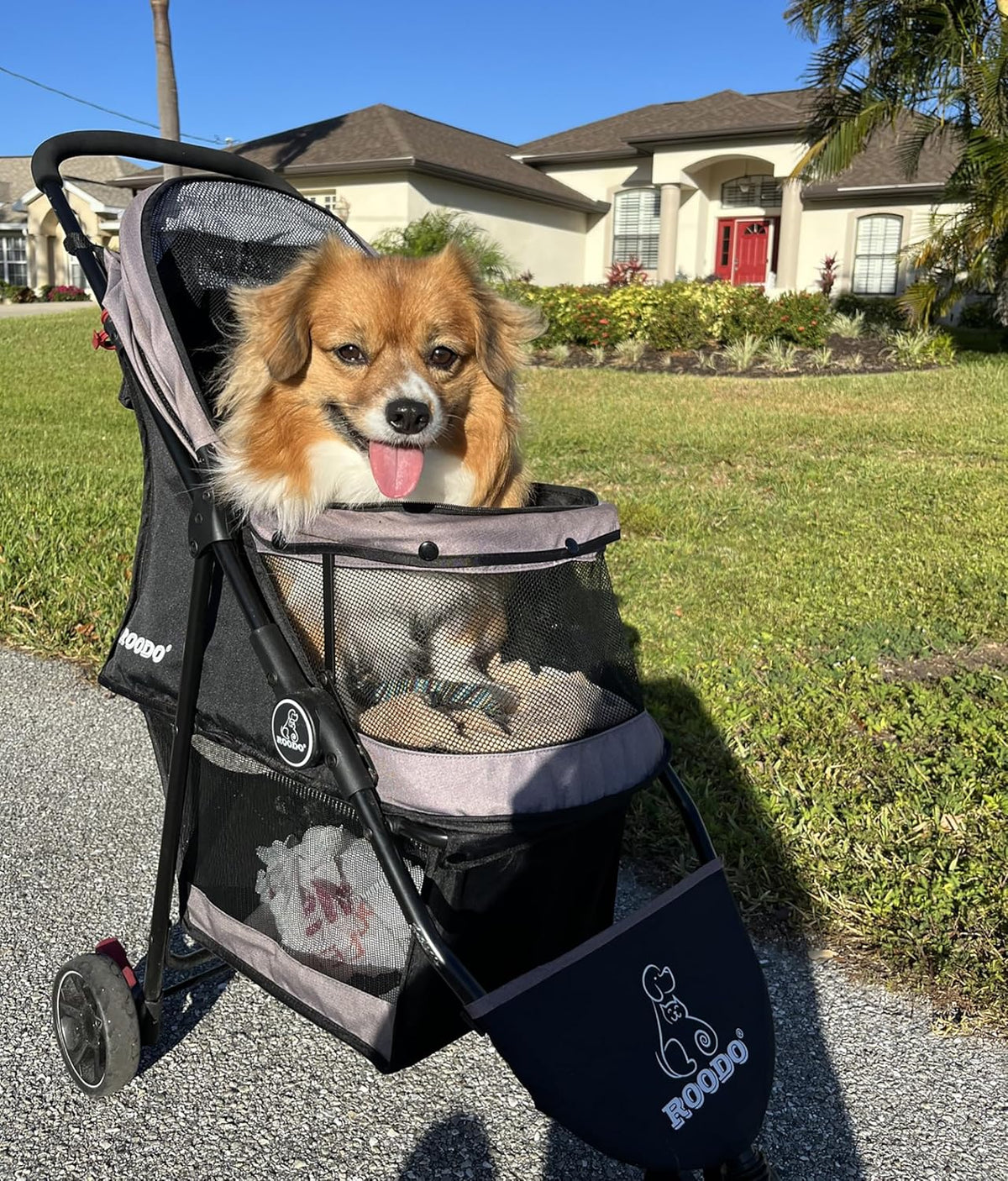 ROODO Escort 3 Wheel Dog Cat Pet Stroller for Small/Medium Dogs Cats Best Lightweight Foldable