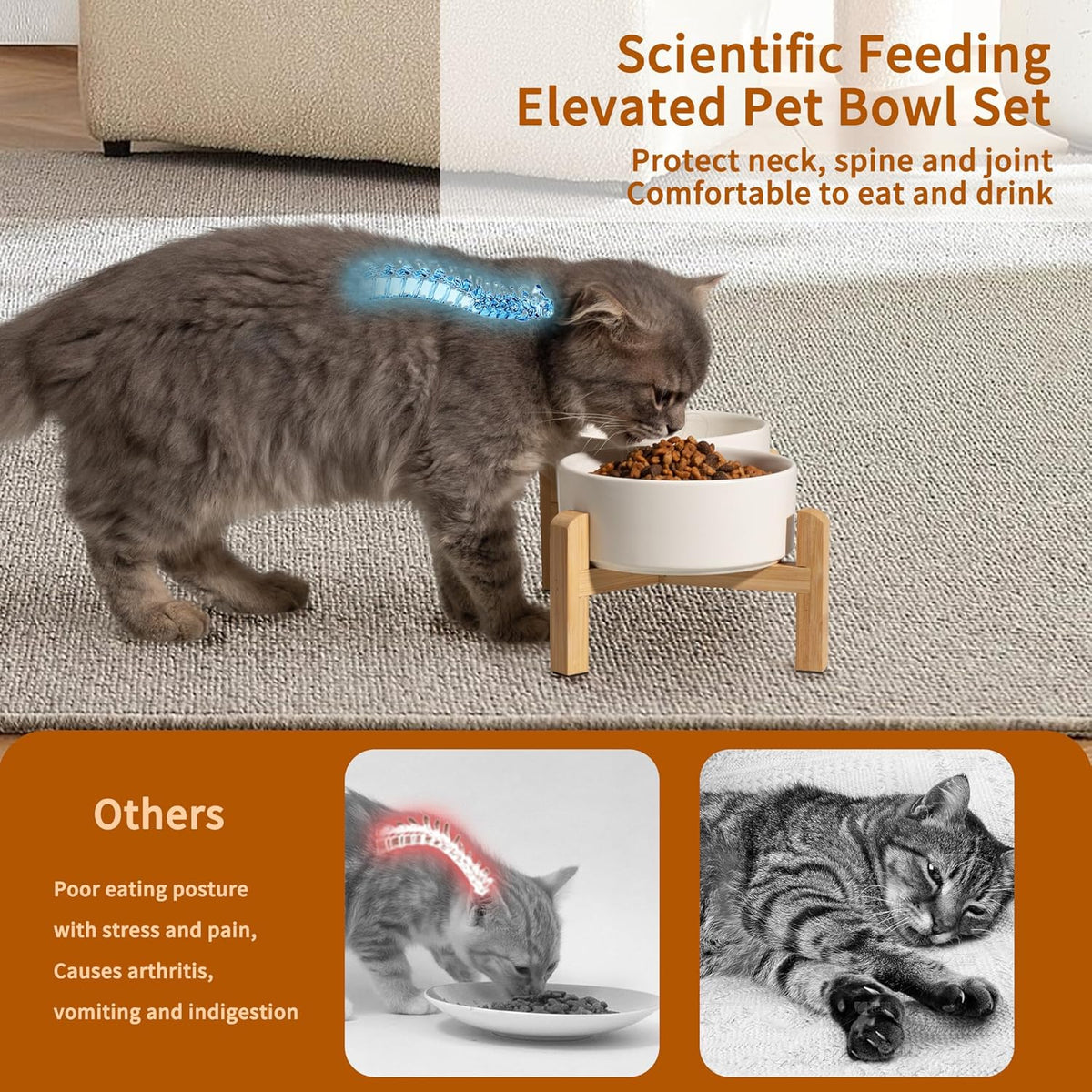 Elevated Ceramic Dog Bowl Set - Raised Feeding Bowls with Non-Slip Bamboo Stand - Small Pet Dishes