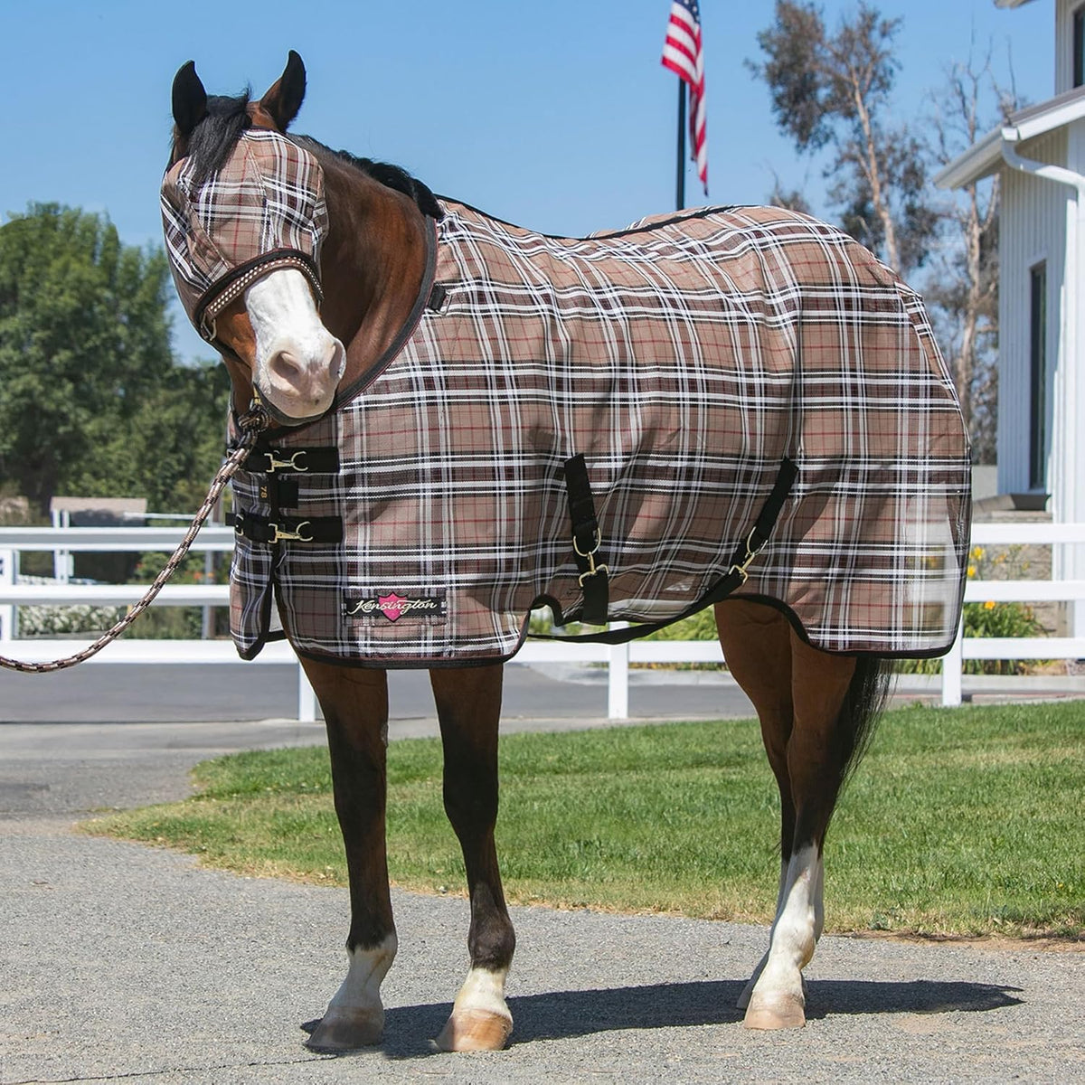 Kensington Fly Mask Web Trim — Protects Horses Face and Eyes From sun While Allowing Full