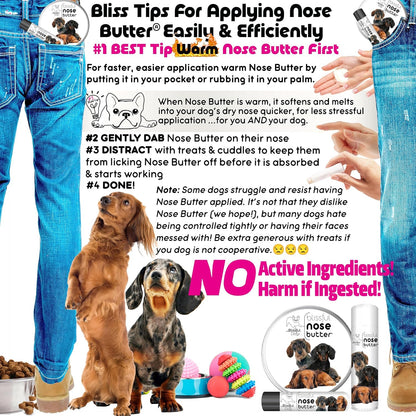 The Blissful Dog Daschund Nose Butter for Dry, Cracked Skin, Lick-Safe Dog Nose Balm with