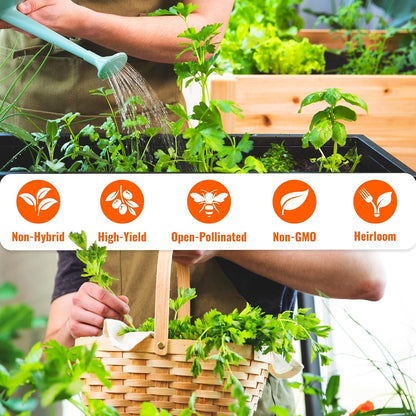 Open Seed Vault 4,000 Non GMO Heirloom Vegetable Seeds for Planting Vegetables and Fruits - 12