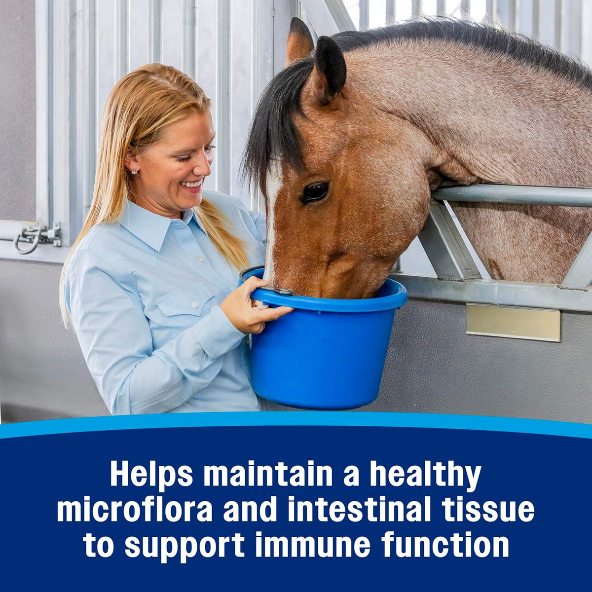 Farnam Hindgut Stabilizer Pellets, Daily Digestive & Immune Supplement for Horses Helps Maintain a