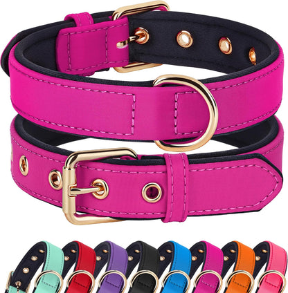 Didog Soft Padded Dog Collars for Small Dogs, Lightweight and Breathable Dog Collar with Metal