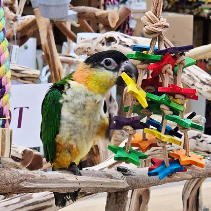 Birds LOVE Wood Stars & Leather Toy for Bird Cage Stand or Playgym, Bird Toys for Small to Medium