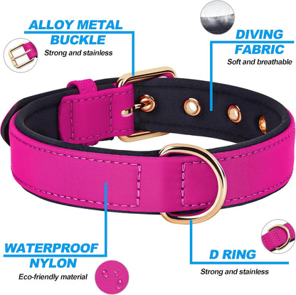 Didog Soft Padded Dog Collars for Small Dogs, Lightweight and Breathable Dog Collar with Metal