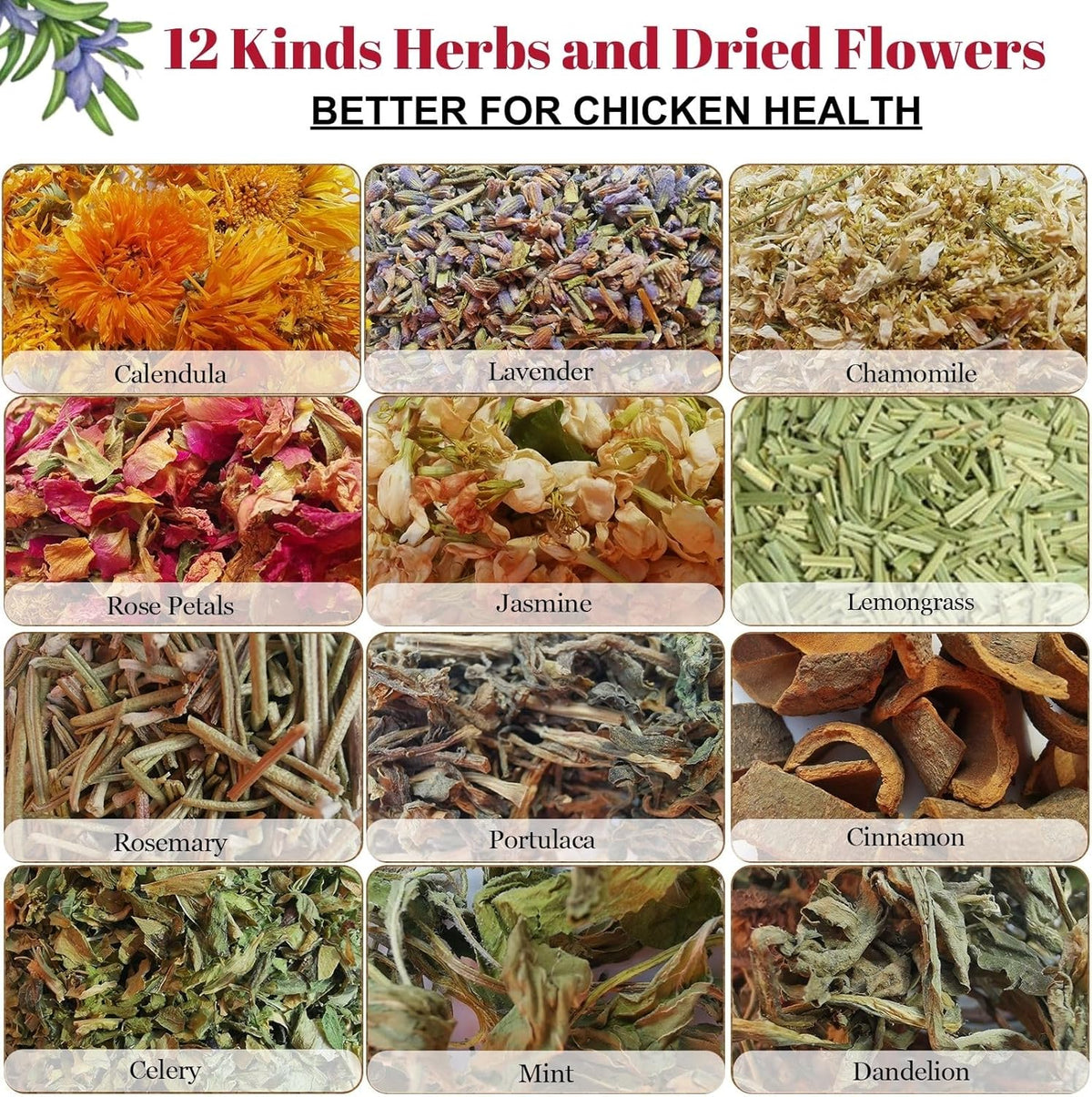 21 oz Chicken Nesting Herbs Flowers - 1.3lb Poultry Blend Herbs 12 Premium Nesting Box Herbs for
