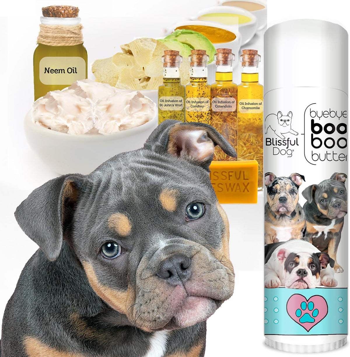 The Blissful Dog .50 oz Tube Olde ENGLISHE Bulldogge Booboo Butter