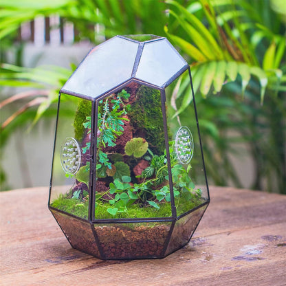 NCYP Closed Geometric Glass Enclosure with Front Opening Door & 2 Vent Holes for Insects
