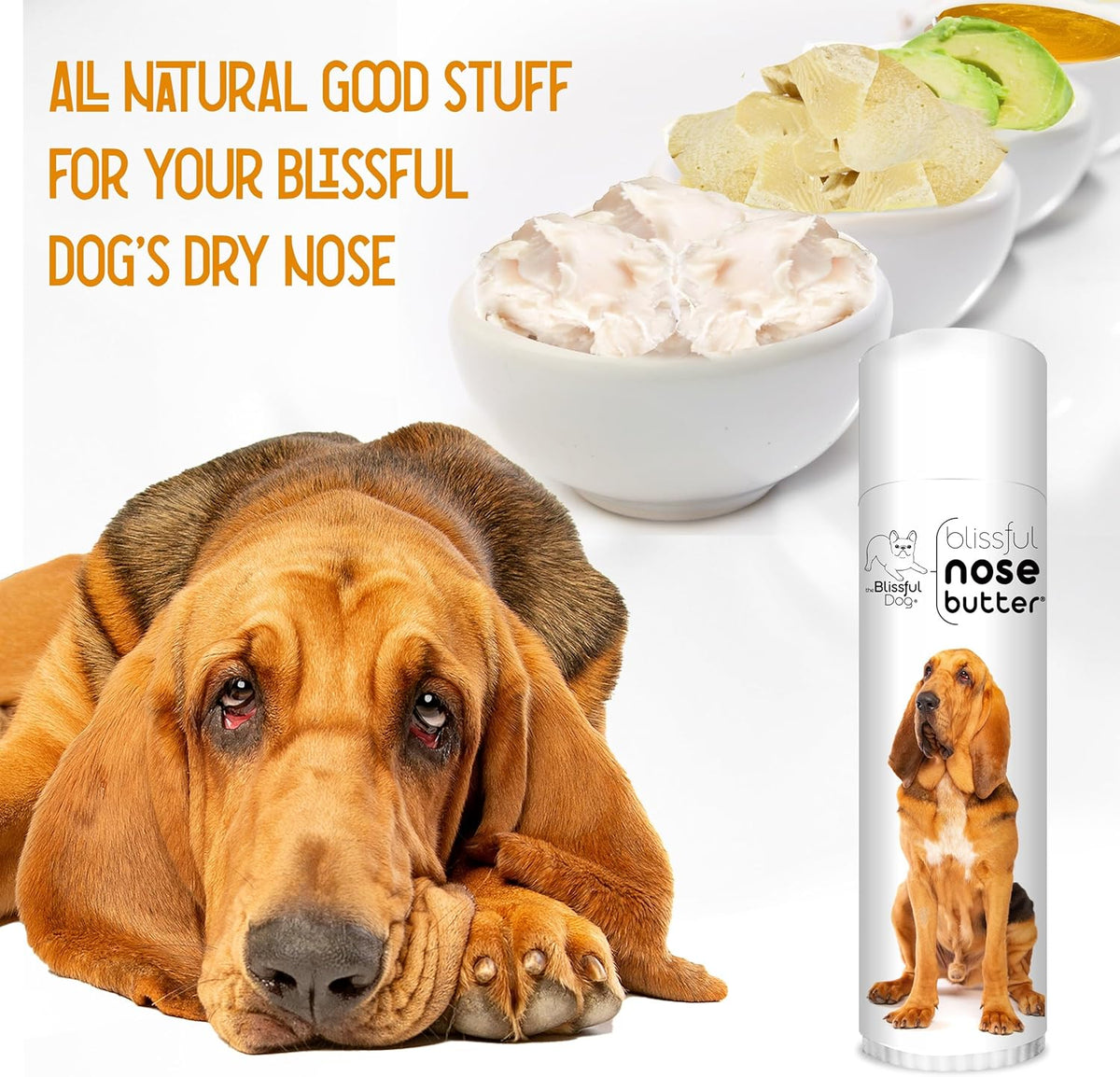 The Blissful Dog Bloodhound Nose Butter for Dry, Cracked Skin, Lick-Safe Dog Nose Balm with