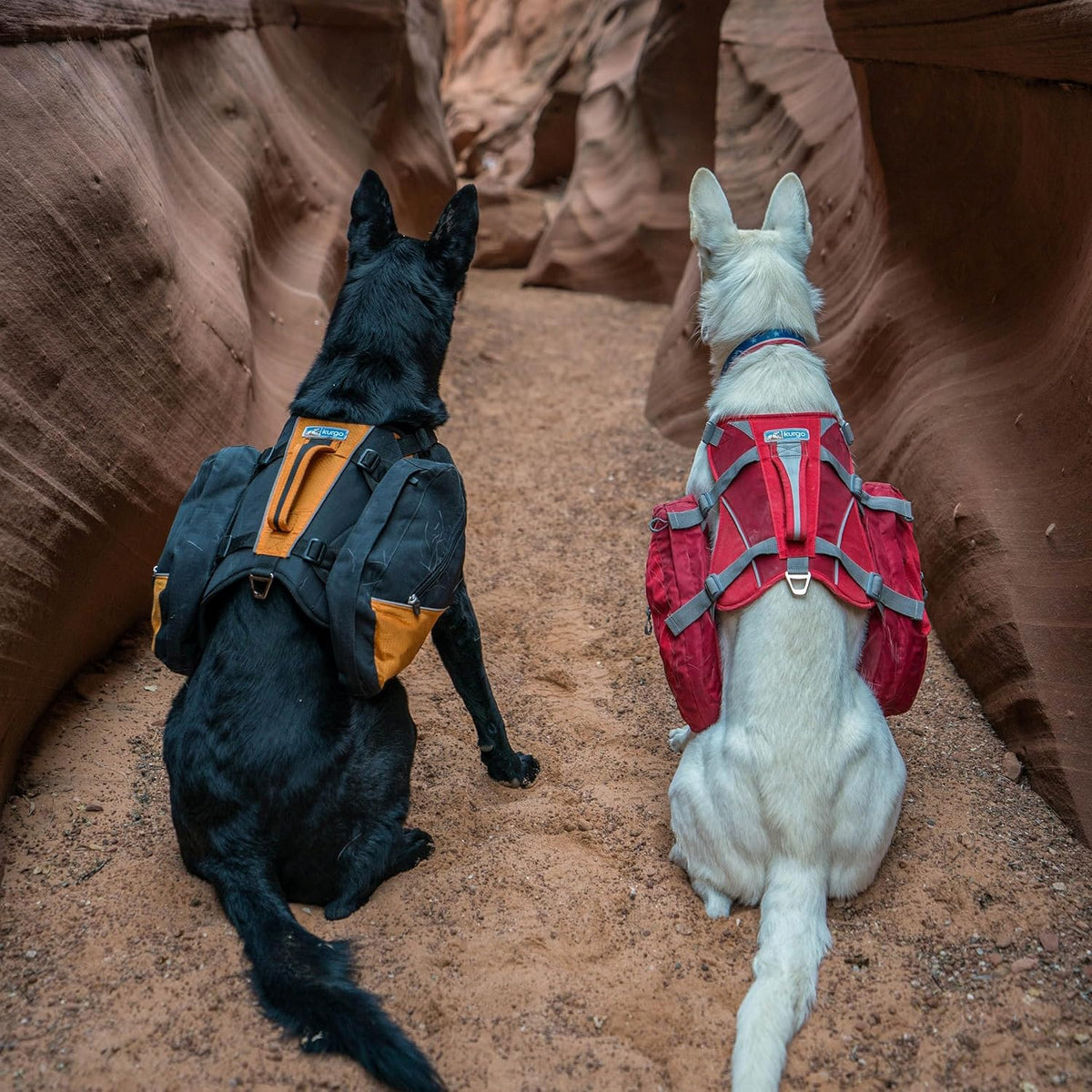 Kurgo Dog Saddlebag Backpack, Back Pack Dog Harness, Hiking Pack for Dogs, Packs for Pets to Wear