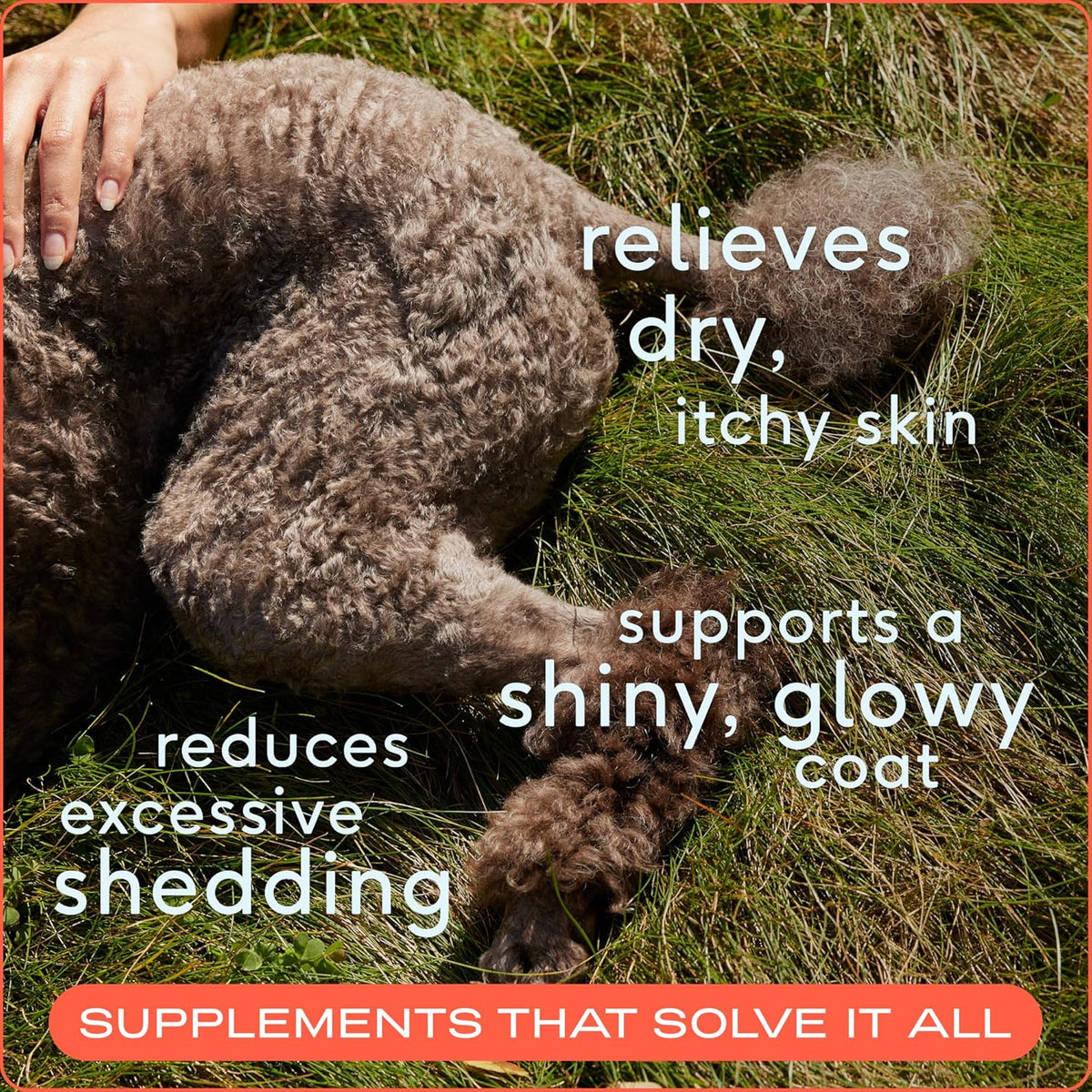 Native Pet Omega 3 Fish Oil for Dogs & Cats - Promotes Healthy Skin, Shiny Coat, & Strong Joints