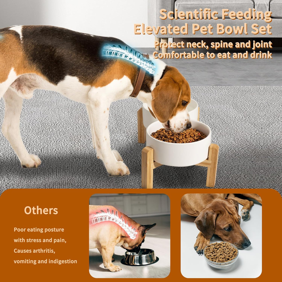 Elevated Ceramic Dog Bowl Set - Raised Dog Bowls with Non-Slip Bamboo Stand - Dog Food and Water