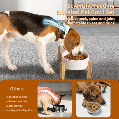 Elevated Ceramic Dog Bowl Set - Raised Dog Bowls with Non-Slip Bamboo Stand - Dog Food and Water