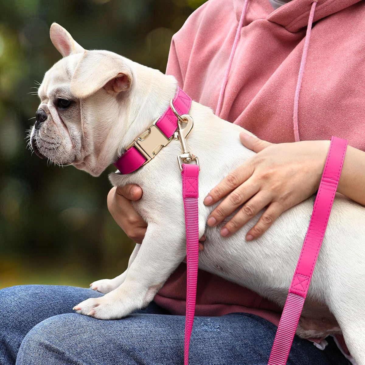 PET ARTIST Soft PU Leather Dog Collar, Bright & Stylish Hot Pink Dog Collar Girl with Quick Release