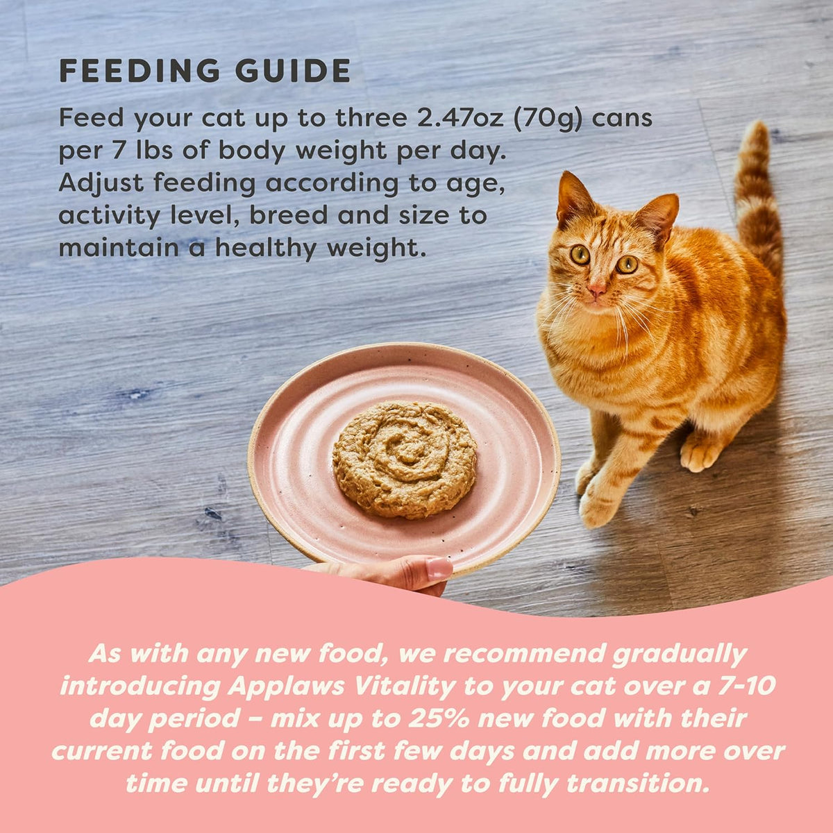 Applaws Vitality Wet Cat Food Paté, Natural Canned Cat Food, Wet Food for Cats with Added Vitamins