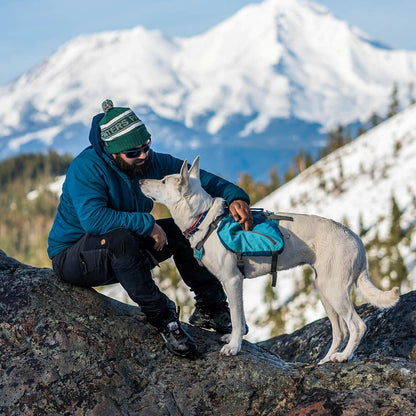 Kurgo Big Baxter Dog Backpack, Dog Saddlebag, Dog Pack, Adjustable Saddlebag for Hiking, Walking