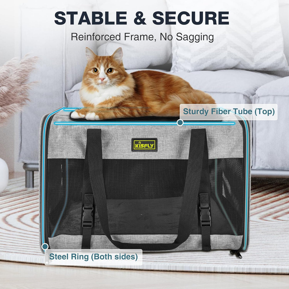 Cat Carrier for 2 Cats/Kitten, Pet Carrier for Cat, Puppy, Small Dog & Bunny, Foldable Soft-Sided