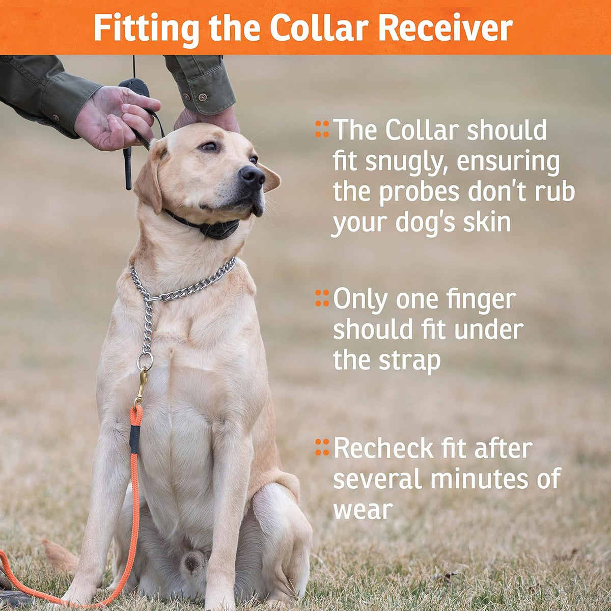 SportDOG Brand SportHunter 825X Dog Training Static Collar with Remote, 1/2 Mile Range Waterproof