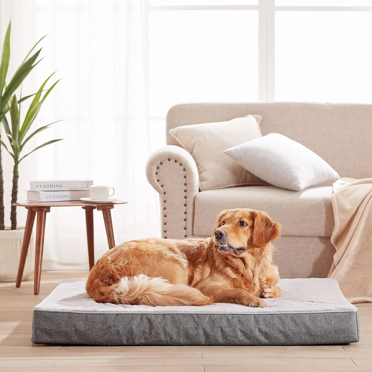 Orthopedic Memory Foam Dog Bed,Cooling Dog Beds for Extra Large Dogs, Washable Pet Beds for Crate