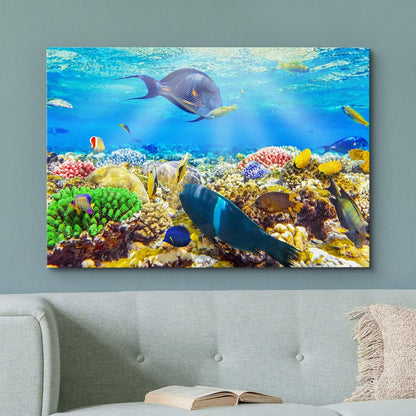 wall26 Canvas Print Wall Art Sunlight Ocean Sea Coral Reef Anemone Fish Nature Animals Photography
