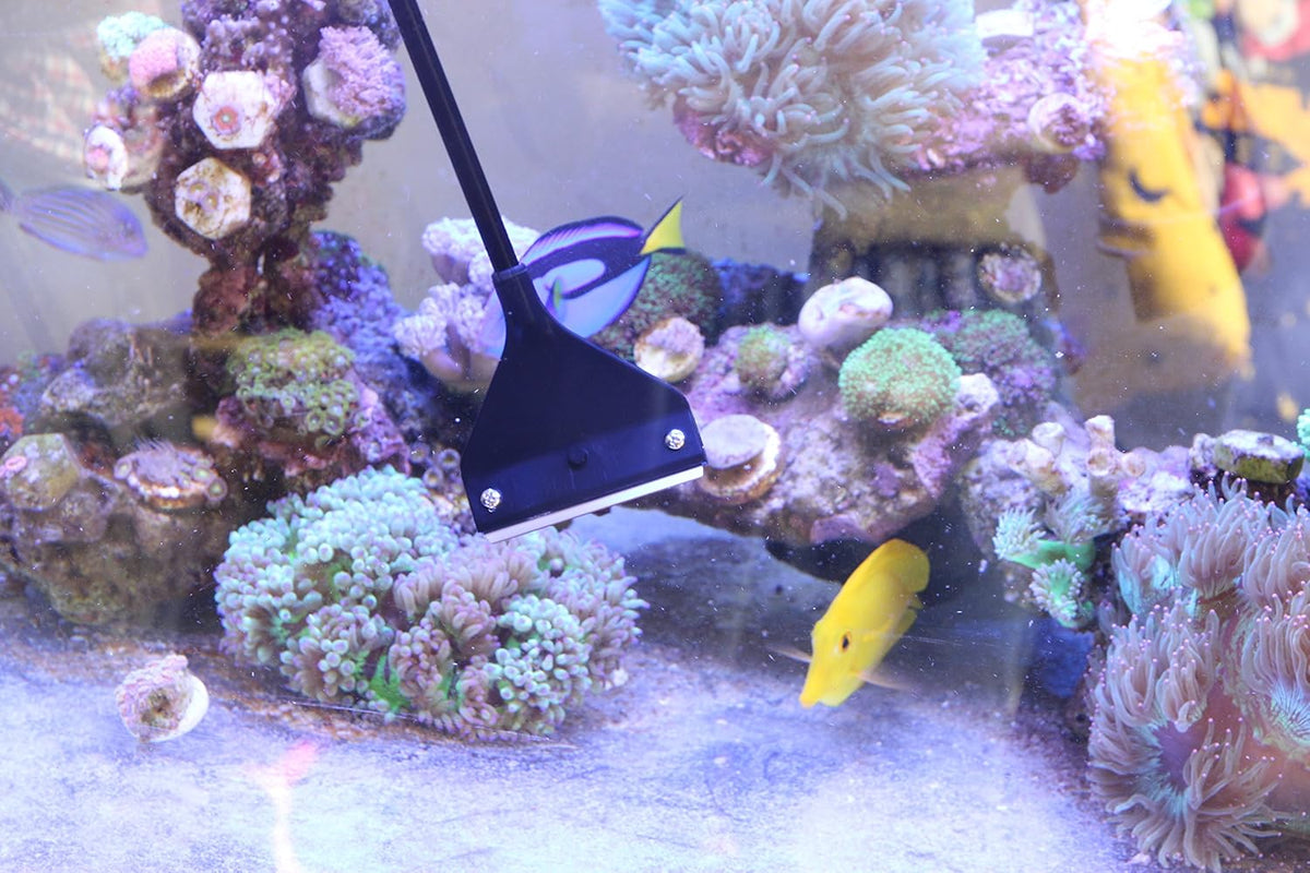Aquarium Algae Scraper Cleaner Brush with 10 Stainless Steel Blades for Fish Reef Plant Glass Tank