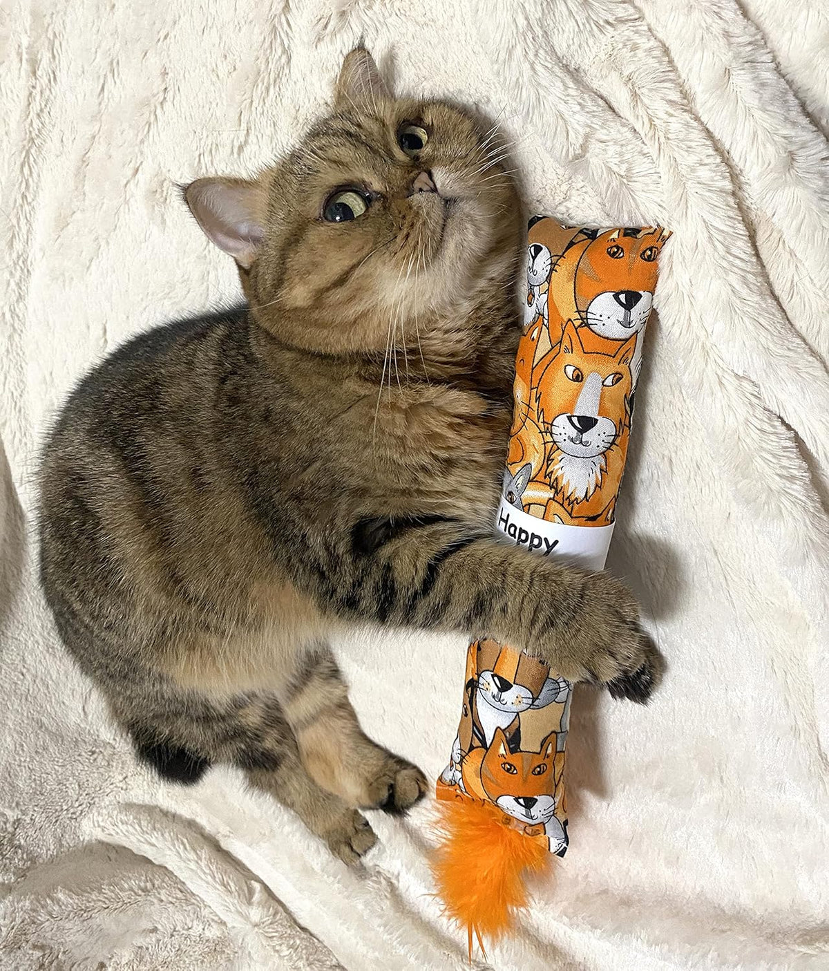 2 Pack Natural Interactive Catnip Cat Kicker with Feathers, Bite Resistant Chew Toy, Crinkle
